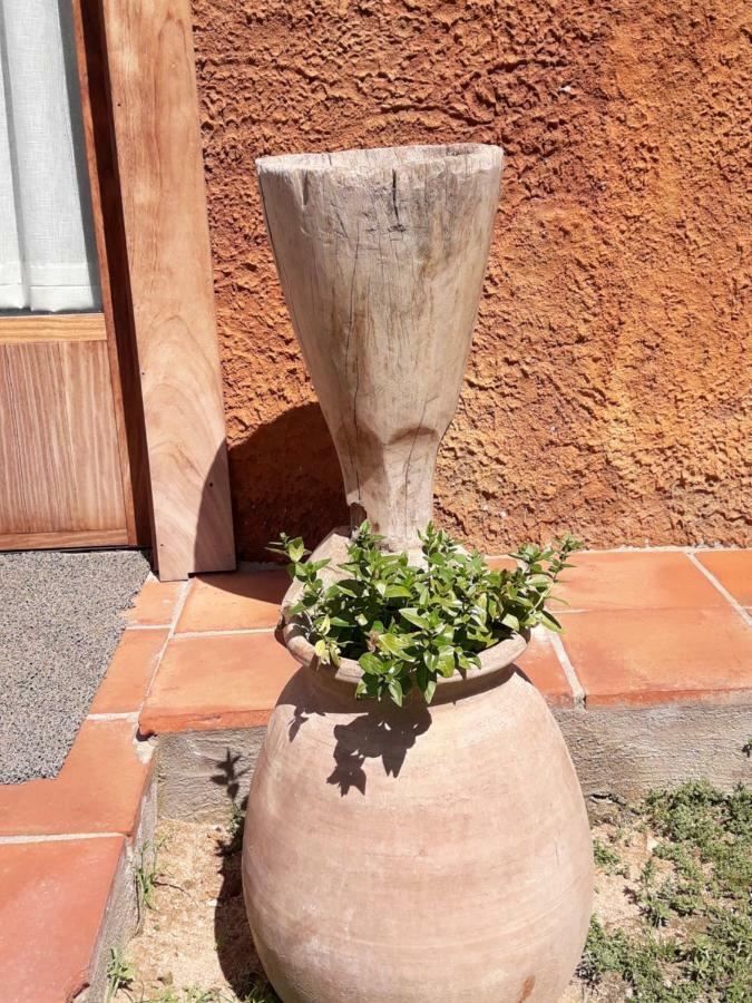 El Solei Paraiso En El Montseny アルブシエス エクステリア 写真