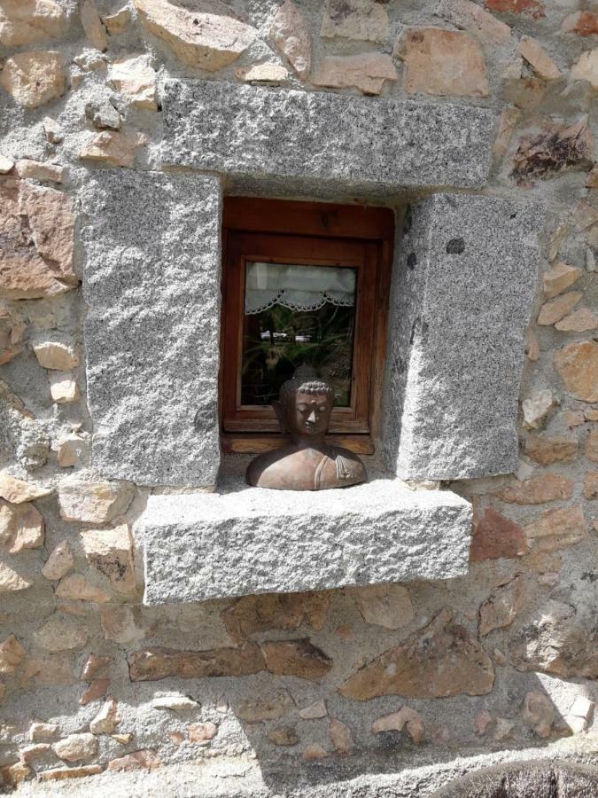 El Solei Paraiso En El Montseny アルブシエス エクステリア 写真