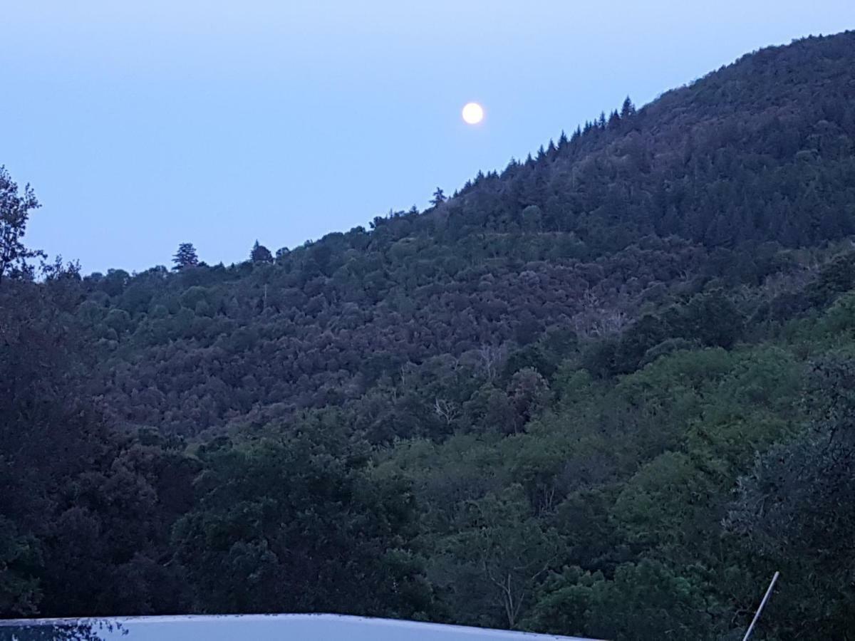 El Solei Paraiso En El Montseny アルブシエス エクステリア 写真