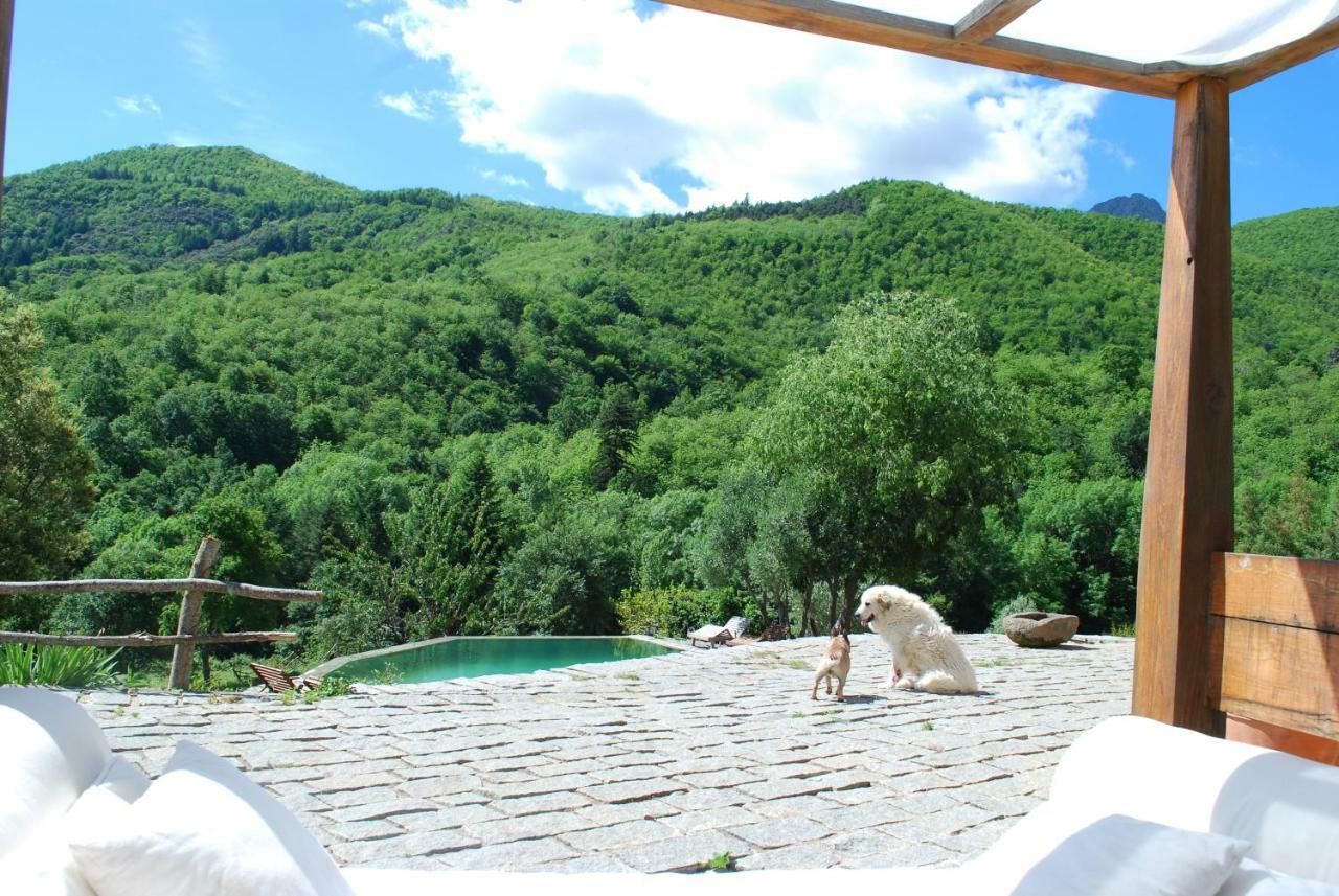 El Solei Paraiso En El Montseny アルブシエス エクステリア 写真