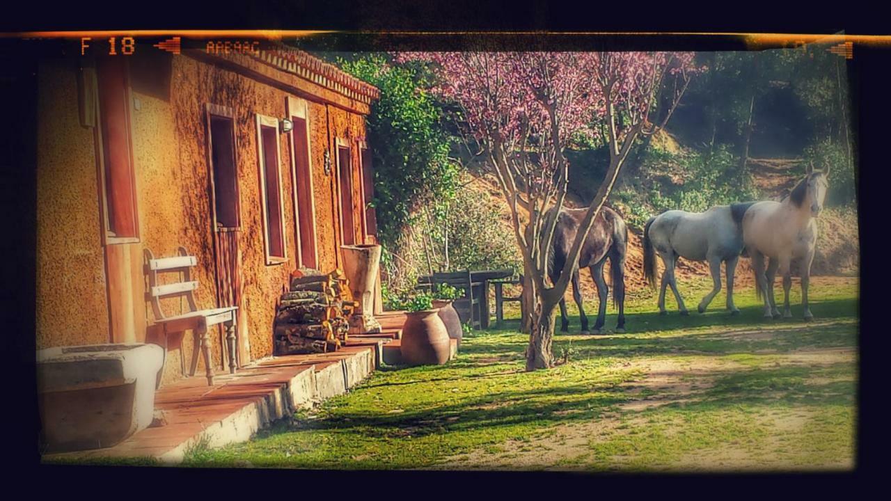 El Solei Paraiso En El Montseny アルブシエス エクステリア 写真