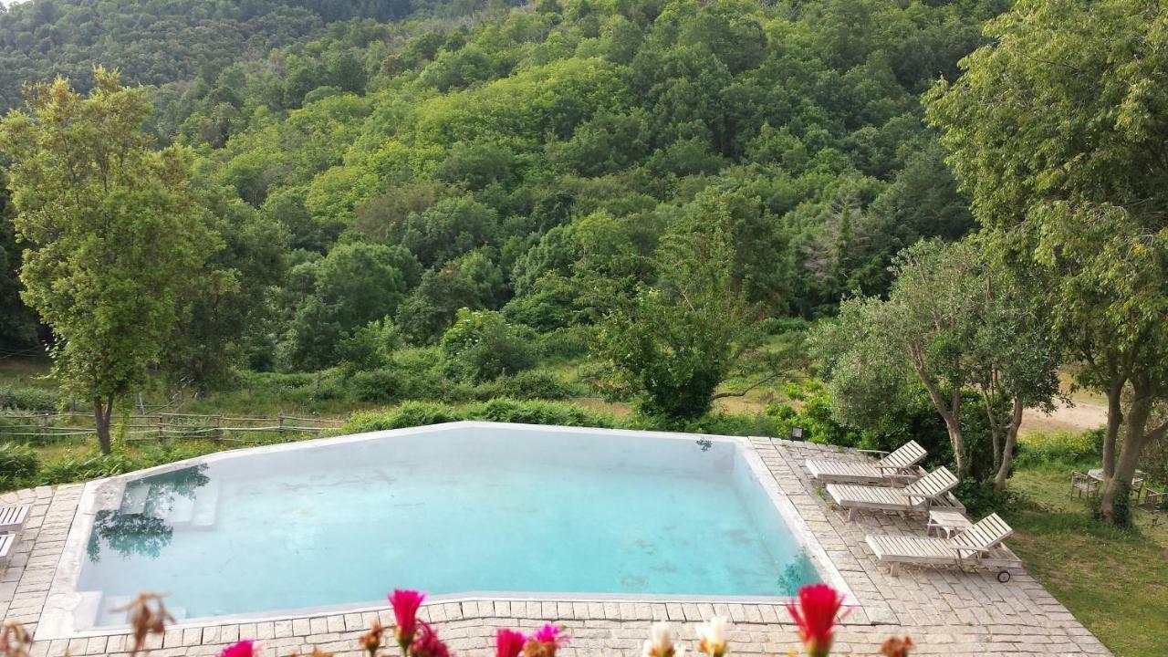El Solei Paraiso En El Montseny アルブシエス エクステリア 写真